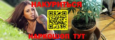 spice Нальчик