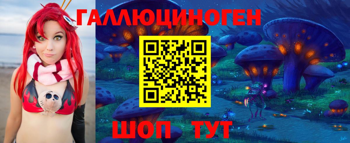 Галлюциногенные грибы Psilocybe Верхний Уфалей